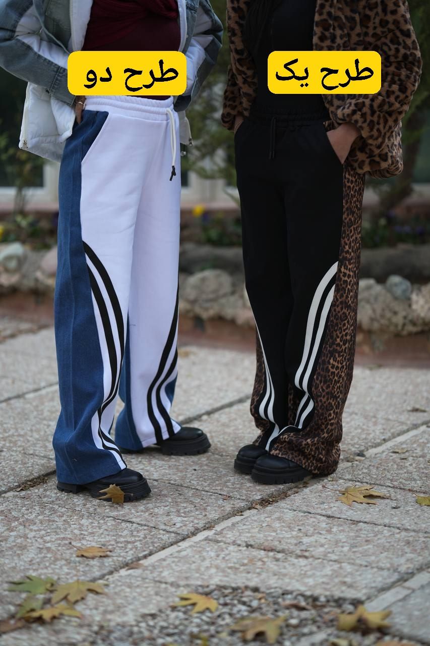 IMG_20241230_222019_513